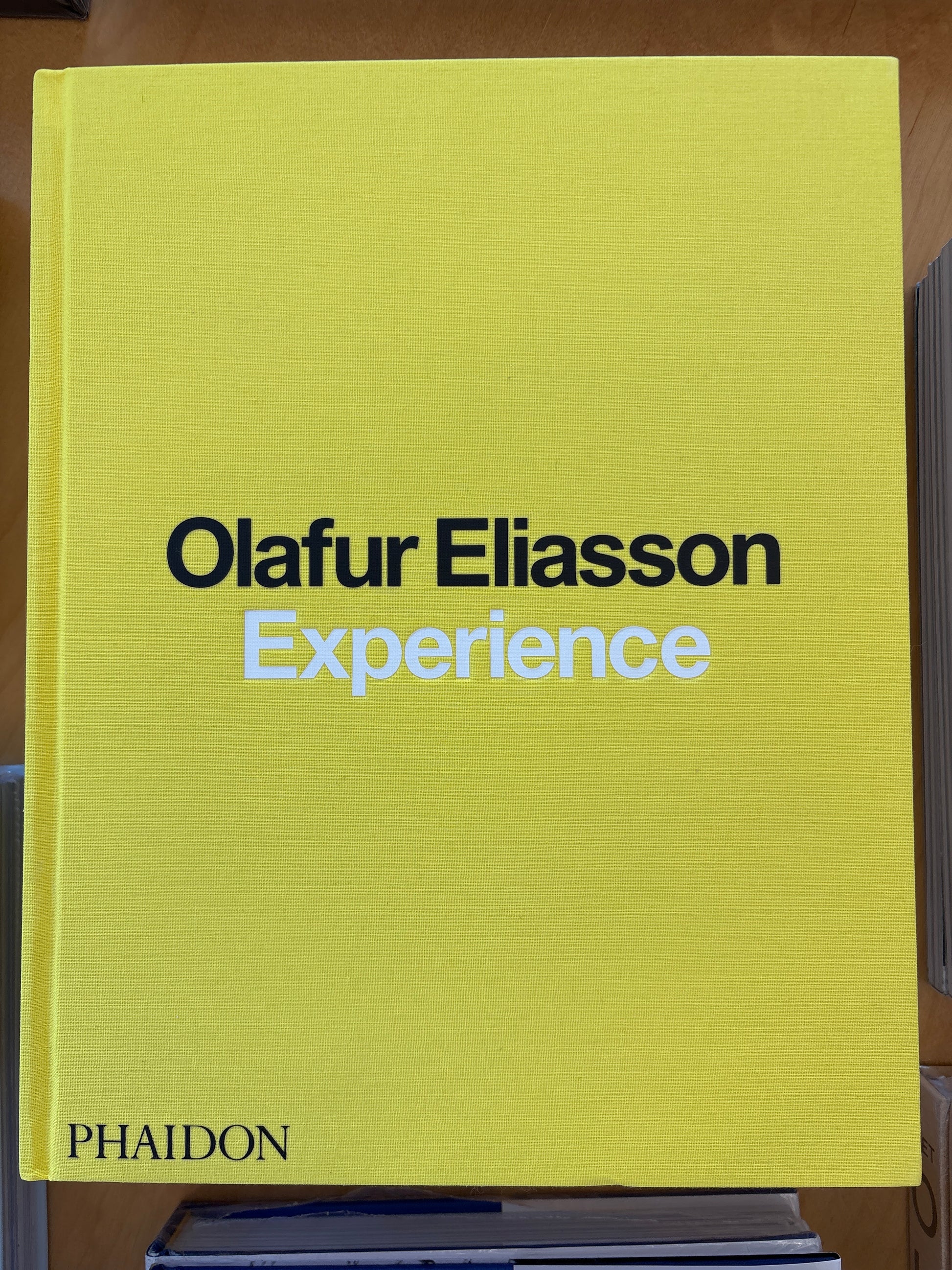 Olafur Eliasson: Experience