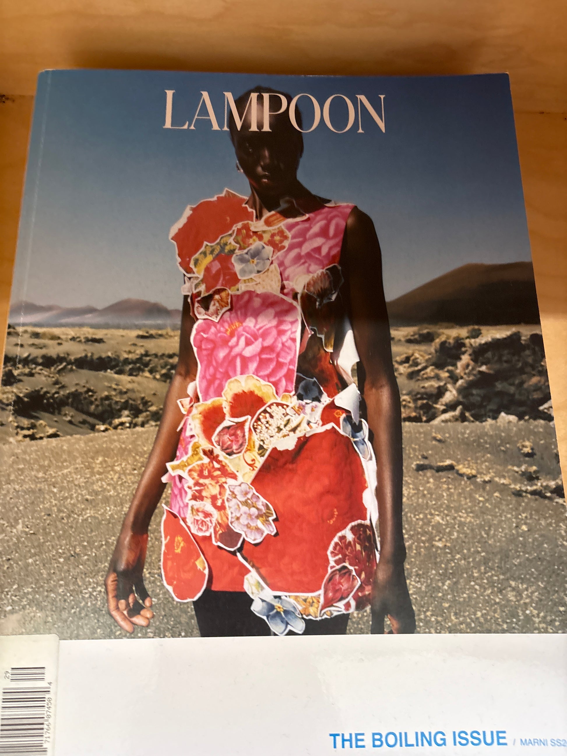 Lampoon Issue #29
