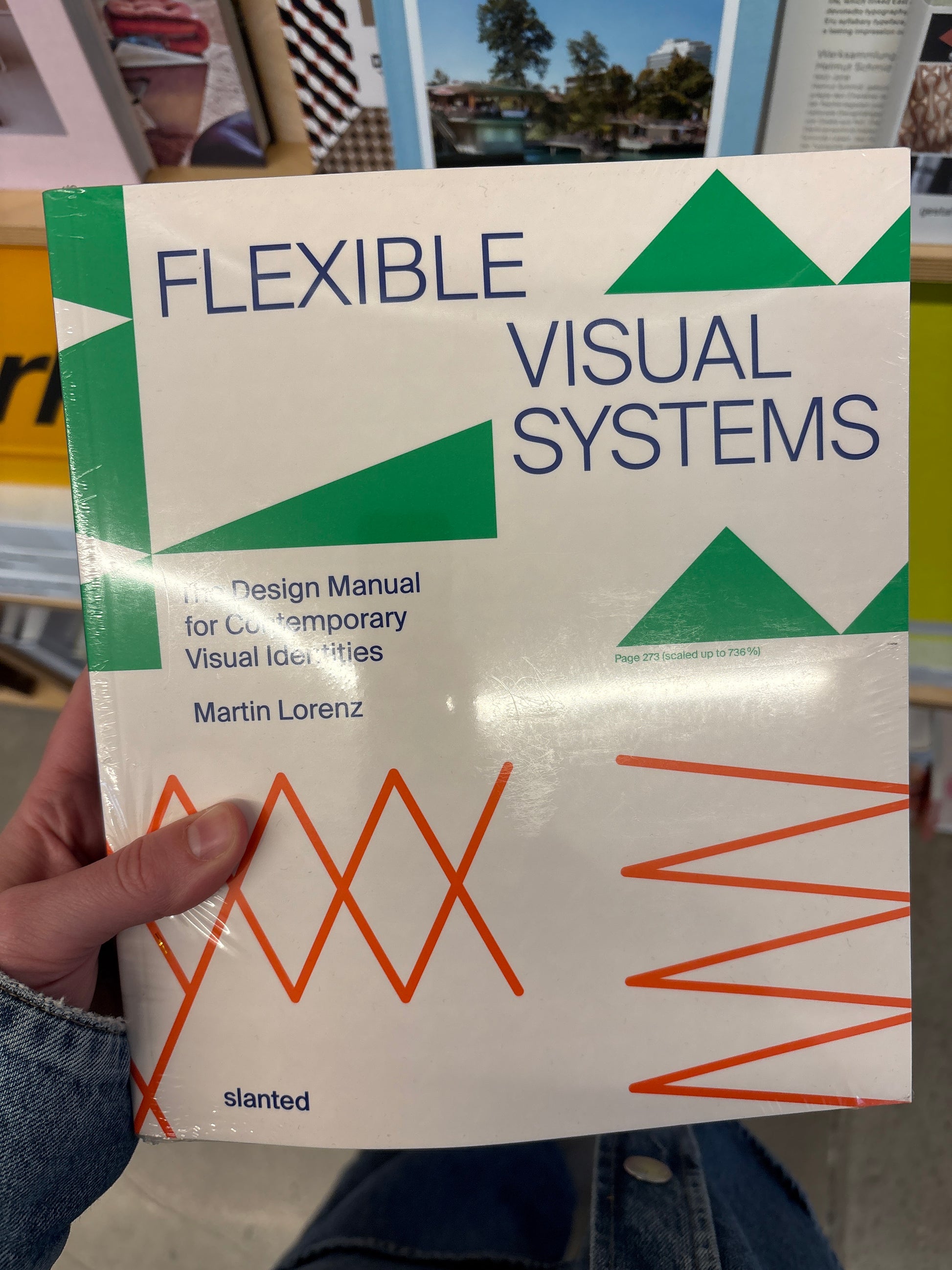 Flexible Visual Systems