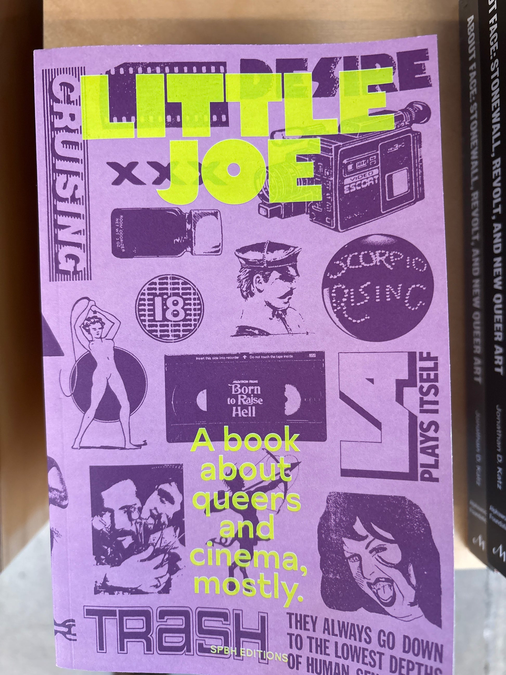 Little Joe: A book about queers and cinema, mostly
